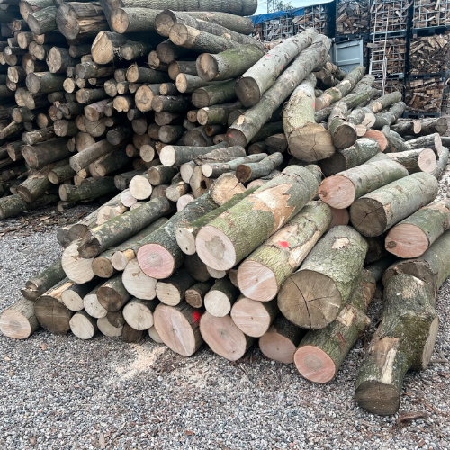 Stammholz – Hartholzmix